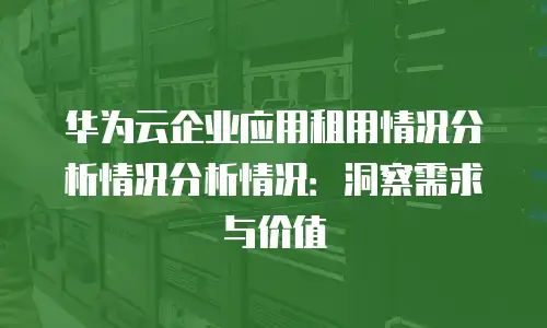 华为云企业应用租用情况分析情况分析情况：洞察需求与价值
