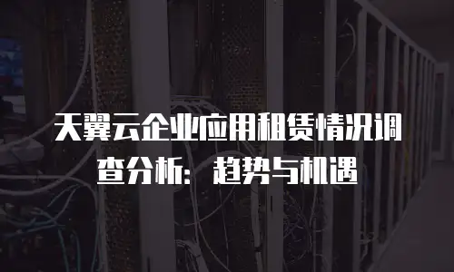 天翼云企业应用租赁情况调查分析：趋势与机遇