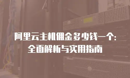 阿里云主机佣金多少钱一个：全面解析与实用指南
