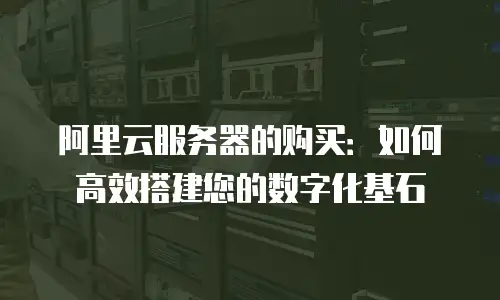 阿里云服务器的购买：如何高效搭建您的数字化基石