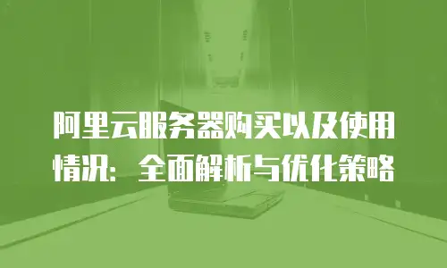 阿里云服务器购买以及使用情况：全面解析与优化策略