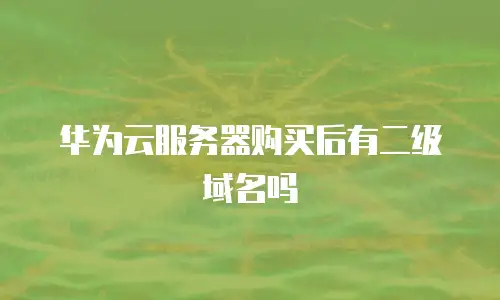 华为云服务器购买后有二级域名吗