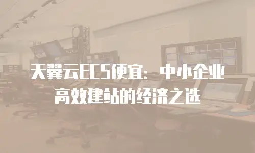 天翼云ECS便宜：中小企业高效建站的经济之选