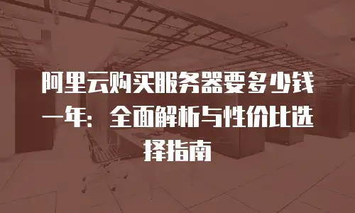 阿里云购买服务器要多少钱一年：全面解析与性价比选择指南