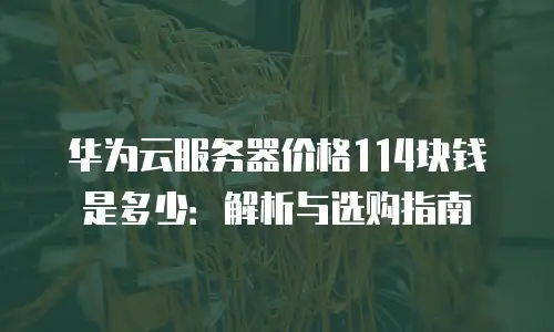 华为云服务器价格114块钱是多少：解析与选购指南