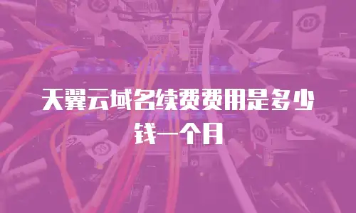 天翼云域名续费费用是多少钱一个月