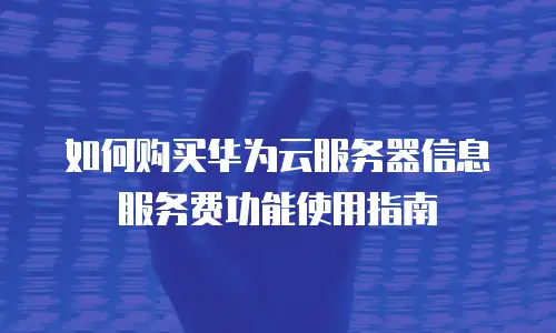 如何购买华为云服务器信息服务费功能使用指南