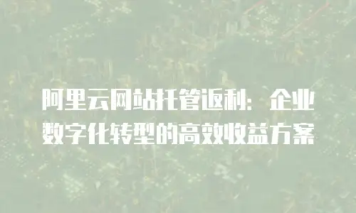阿里云网站托管返利：企业数字化转型的高效收益方案
