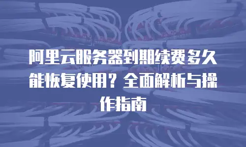 阿里云服务器到期续费多久能恢复使用？全面解析与操作指南