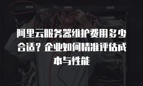 阿里云服务器维护费用多少合适？企业如何精准评估成本与性能
