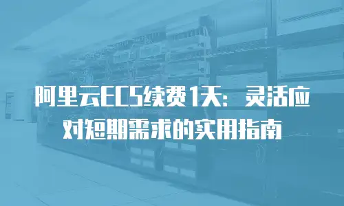 阿里云ECS续费1天：灵活应对短期需求的实用指南