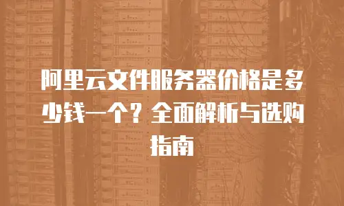 阿里云文件服务器价格是多少钱一个？全面解析与选购指南