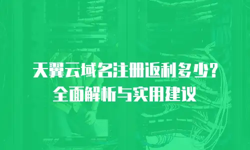 天翼云域名注册返利多少？全面解析与实用建议