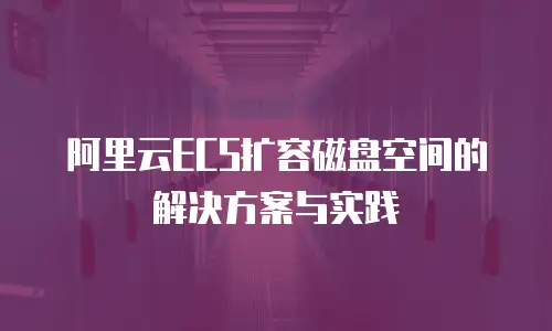 阿里云ECS扩容磁盘空间的解决方案与实践