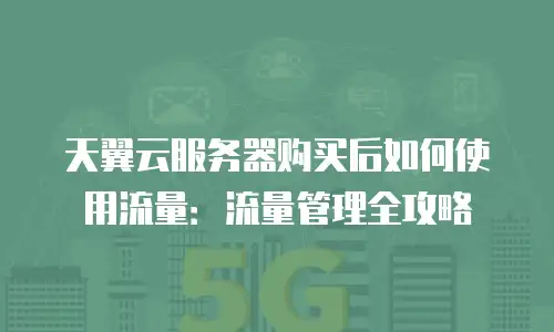 天翼云服务器购买后如何使用流量：流量管理全攻略