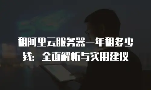 租阿里云服务器一年租多少钱：全面解析与实用建议