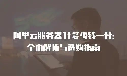 阿里云服务器1t多少钱一台：全面解析与选购指南