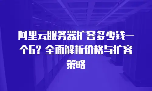 阿里云服务器扩容多少钱一个G？全面解析价格与扩容策略