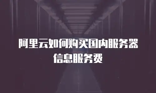 阿里云如何购买国内服务器信息服务费