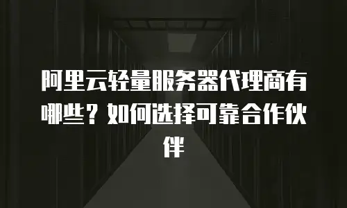 阿里云轻量服务器代理商有哪些？如何选择可靠合作伙伴