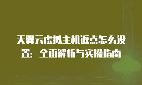 天翼云虚拟主机返点怎么设置：全面解析与实操指南
