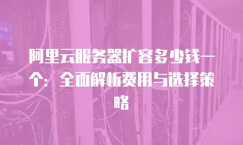 阿里云服务器扩容多少钱一个：全面解析费用与选择策略