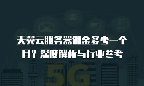 天翼云服务器佣金多少一个月？深度解析与行业参考