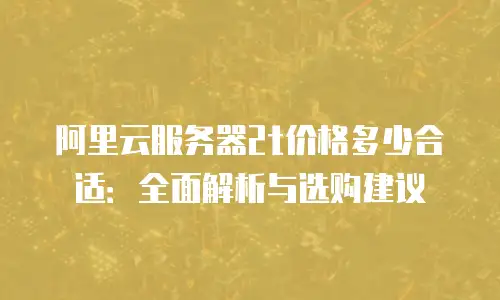 阿里云服务器2t价格多少合适：全面解析与选购建议