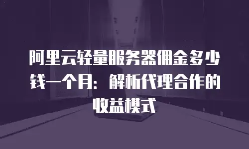 阿里云轻量服务器佣金多少钱一个月：解析代理合作的收益模式