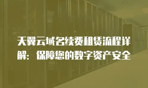 天翼云域名续费租赁流程详解：保障您的数字资产安全