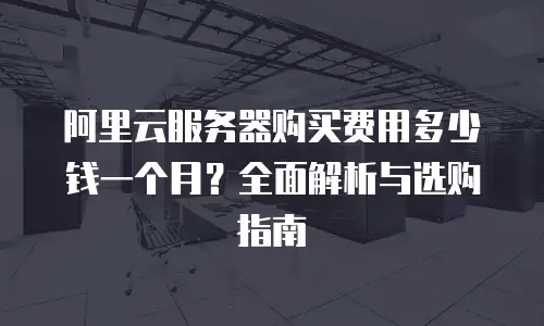阿里云服务器购买费用多少钱一个月？全面解析与选购指南