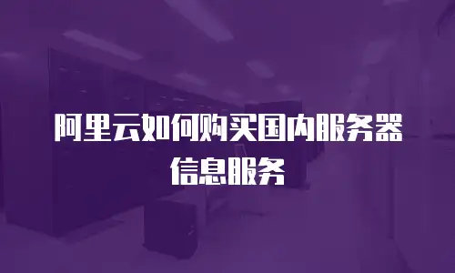 阿里云如何购买国内服务器信息服务
