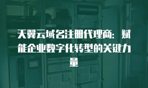 天翼云域名注册代理商：赋能企业数字化转型的关键力量