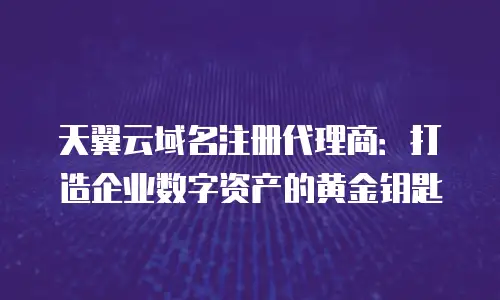 天翼云域名注册代理商：打造企业数字资产的黄金钥匙