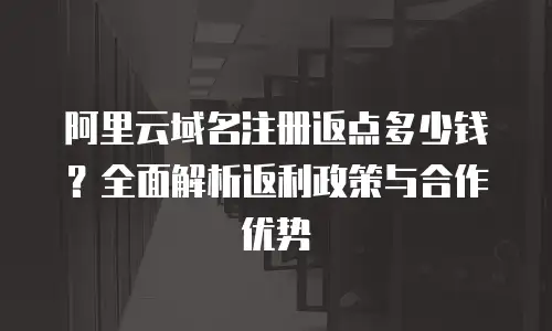 阿里云域名注册返点多少钱？全面解析返利政策与合作优势