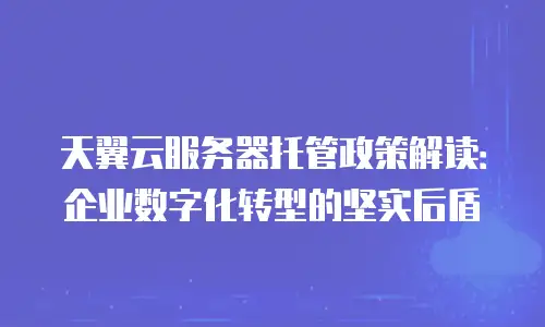天翼云服务器托管政策解读：企业数字化转型的坚实后盾