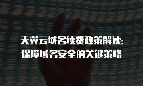 天翼云域名续费政策解读：保障域名安全的关键策略