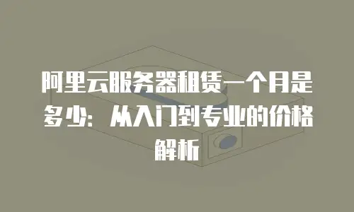 阿里云服务器租赁一个月是多少：从入门到专业的价格解析
