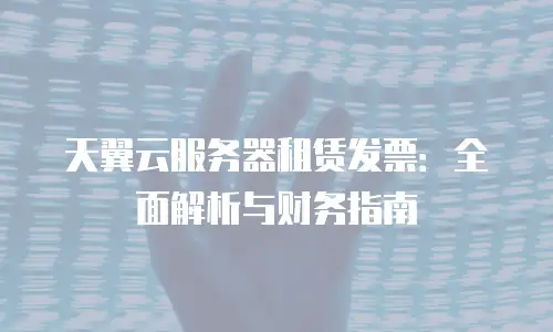 天翼云服务器租赁发票：全面解析与财务指南