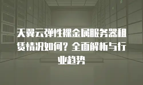 天翼云弹性裸金属服务器租赁情况如何？全面解析与行业趋势