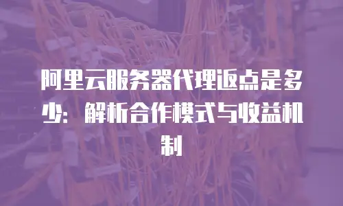 阿里云服务器代理返点是多少：解析合作模式与收益机制