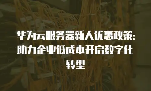 华为云服务器新人优惠政策：助力企业低成本开启数字化转型