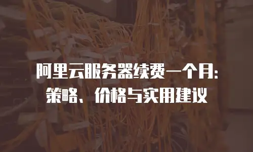 阿里云服务器续费一个月：策略、价格与实用建议
