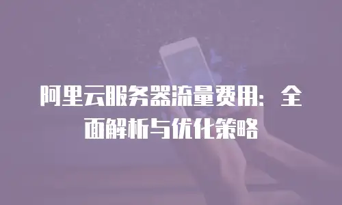 阿里云服务器流量费用：全面解析与优化策略