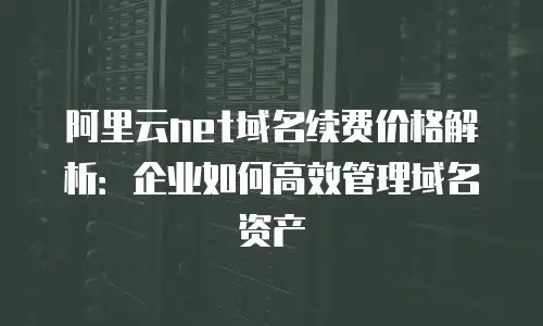 阿里云net域名续费价格解析：企业如何高效管理域名资产