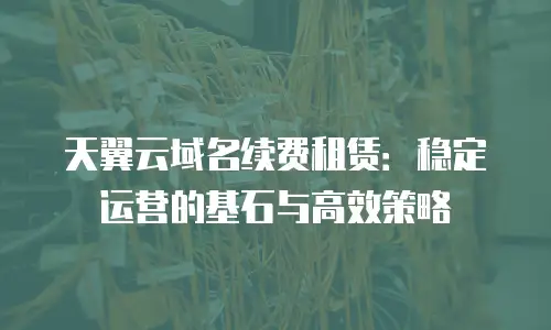 天翼云域名续费租赁：稳定运营的基石与高效策略
