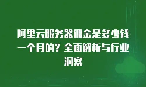 阿里云服务器佣金是多少钱一个月的？全面解析与行业洞察