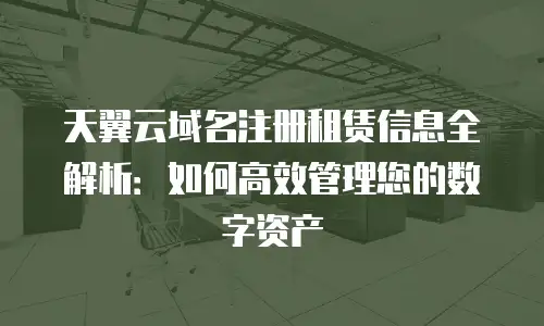 天翼云域名注册租赁信息全解析：如何高效管理您的数字资产