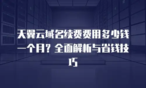 天翼云域名续费费用多少钱一个月？全面解析与省钱技巧