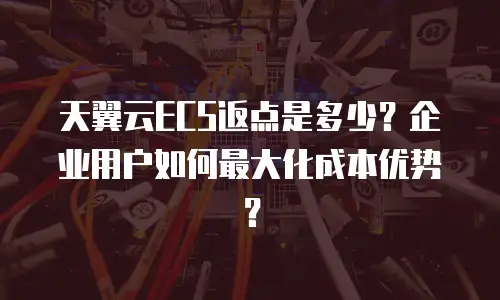 天翼云ECS返点是多少？企业用户如何最大化成本优势？